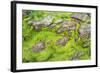 Isle of Lewis, the Uig Bay (Traigh Uuige), Kelp on Red Rock. Scotland-Martin Zwick-Framed Photographic Print