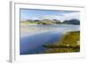 Isle of Lewis, the Uig Bay (Traigh Uuige) with Bladder Wrack. Scotland-Martin Zwick-Framed Photographic Print