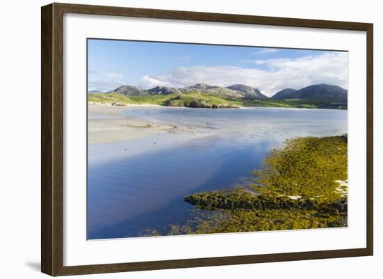 Isle of Lewis, the Uig Bay (Traigh Uuige) with Bladder Wrack. Scotland-Martin Zwick-Framed Photographic Print