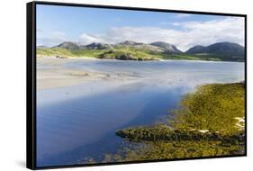 Isle of Lewis, the Uig Bay (Traigh Uuige) with Bladder Wrack. Scotland-Martin Zwick-Framed Stretched Canvas