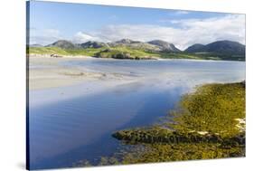 Isle of Lewis, the Uig Bay (Traigh Uuige) with Bladder Wrack. Scotland-Martin Zwick-Stretched Canvas