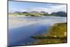 Isle of Lewis, the Uig Bay (Traigh Uuige) with Bladder Wrack. Scotland-Martin Zwick-Mounted Photographic Print