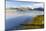 Isle of Lewis, the Uig Bay (Traigh Uuige) with Bladder Wrack. Scotland-Martin Zwick-Mounted Photographic Print