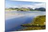 Isle of Lewis, the Uig Bay (Traigh Uuige) with Bladder Wrack. Scotland-Martin Zwick-Mounted Premium Photographic Print