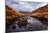 Isle of Mull, Inner Hebrides, Scotland, United Kingdom, Europe-Karen Deakin-Mounted Photographic Print