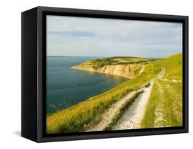 Isle of Wight Coastline-John Harper-Framed Stretched Canvas