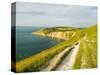 Isle of Wight Coastline-John Harper-Stretched Canvas
