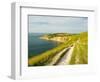 Isle of Wight Coastline-John Harper-Framed Photographic Print