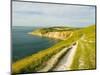 Isle of Wight Coastline-John Harper-Mounted Photographic Print