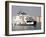 Isle of Wight Ferry at Portsmouth, Hampshire, England, United Kingdom-G Richardson-Framed Photographic Print