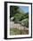 Isles of Scilly, United Kingdom, Europe-null-Framed Photographic Print