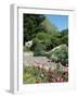 Isles of Scilly, United Kingdom, Europe-null-Framed Photographic Print