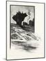 Islet Rock, Falls of Elora, Canada, Nineteenth Century-null-Mounted Giclee Print