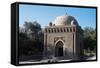 Ismail Samani Mausoleum-null-Framed Stretched Canvas