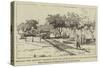 Ismailia, New Military Railroad from the Landing-Stage to the Railway-Station-Herbert Johnson-Stretched Canvas