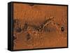 Ismenius Lacus Region of Mars-Stocktrek Images-Framed Stretched Canvas