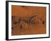 Ismenius Lacus Region of Mars-Stocktrek Images-Framed Photographic Print