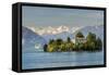 Isola Madre with Snowy Alps Behind, Lake Maggiore, Piedmont, Italy-Stefano Politi Markovina-Framed Stretched Canvas
