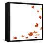 Isolated Autumn Leaves-lilkar-Framed Stretched Canvas