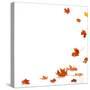 Isolated Autumn Leaves-lilkar-Stretched Canvas
