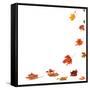 Isolated Autumn Leaves-lilkar-Framed Stretched Canvas