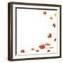 Isolated Autumn Leaves-lilkar-Framed Photographic Print