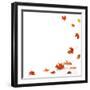 Isolated Autumn Leaves-lilkar-Framed Photographic Print