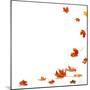 Isolated Autumn Leaves-lilkar-Mounted Photographic Print