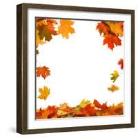 Isolated Autumn Leaves-lilkar-Framed Photographic Print