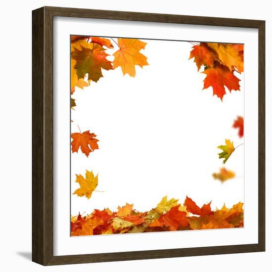 Isolated Autumn Leaves-lilkar-Framed Photographic Print