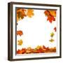 Isolated Autumn Leaves-lilkar-Framed Photographic Print