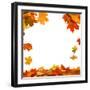 Isolated Autumn Leaves-lilkar-Framed Photographic Print