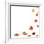 Isolated Autumn Leaves-lilkar-Framed Photographic Print