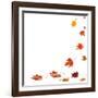 Isolated Autumn Leaves-lilkar-Framed Photographic Print