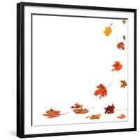 Isolated Autumn Leaves-lilkar-Framed Photographic Print