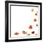 Isolated Autumn Leaves-lilkar-Framed Photographic Print