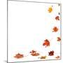 Isolated Autumn Leaves-lilkar-Mounted Photographic Print