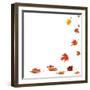 Isolated Autumn Leaves-lilkar-Framed Photographic Print