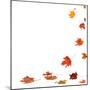 Isolated Autumn Leaves-lilkar-Mounted Photographic Print