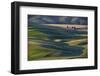 Isolated Barn in the Palouse-Jon Evan-Framed Photo