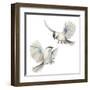 Isolated Birds-Patricia Pinto-Framed Art Print