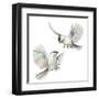 Isolated Birds-Patricia Pinto-Framed Art Print