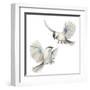 Isolated Birds-Patricia Pinto-Framed Art Print