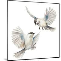 Isolated Birds-Patricia Pinto-Mounted Art Print