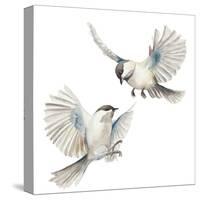 Isolated Birds-Patricia Pinto-Stretched Canvas