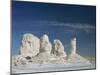 Isolated Chalk Towers, Remnants of Karst, Farafra Oasis, White Desert, Western Desert, Egypt-Waltham Tony-Mounted Photographic Print