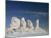 Isolated Chalk Towers, Remnants of Karst, Farafra Oasis, White Desert, Western Desert, Egypt-Waltham Tony-Mounted Photographic Print