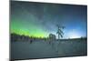 Isolated frozen trees in the snow under the Northern Lights (Aurora Borealis) in winter, Iso Syote-Roberto Moiola-Mounted Photographic Print