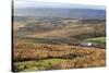 Isolated House by the Road in Garsdale Below Baugh Fell-Mark-Stretched Canvas