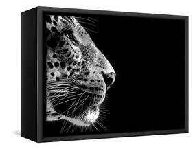 Isolated Leopard Face Card-Snap2Art-Framed Stretched Canvas